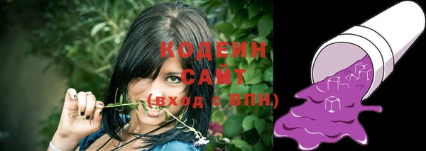 крисы Елабуга