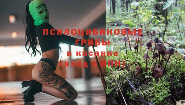 крисы Елабуга