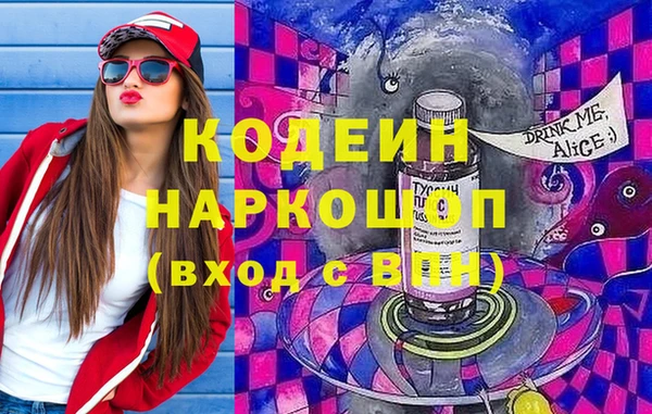 крисы Елабуга