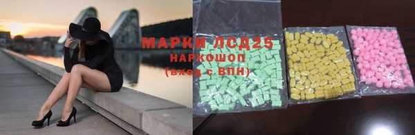 крисы Елабуга