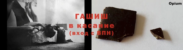крисы Елабуга