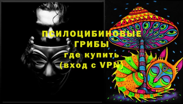 альфа пвп Елизово