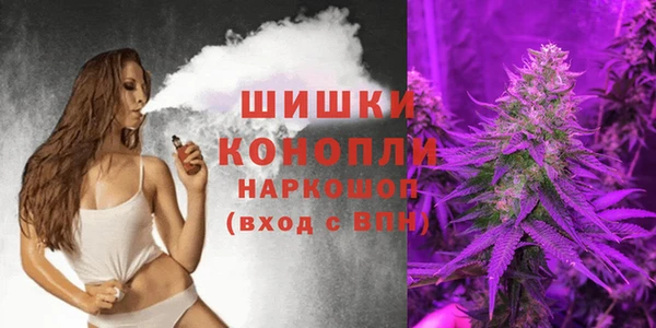альфа пвп Елизово