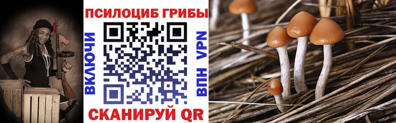 Псилоцибиновые грибы Psilocybine cubensis  Купить закладки  Новоалтайск 