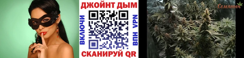 Купить закладки  Новоалтайск  Конопля сатива 